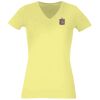 Women's Premium v-neck t-shirt Thumbnail