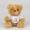 Bear in a t-shirt Thumbnail